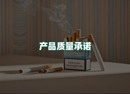 核心优势